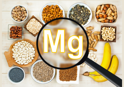 Magnesio: el mineral olvidado que tu cuerpo necesita