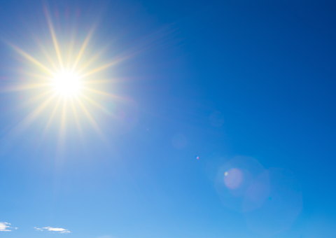 Para qué sirve la vitamina D: el nutriente que puede transformar tu salud